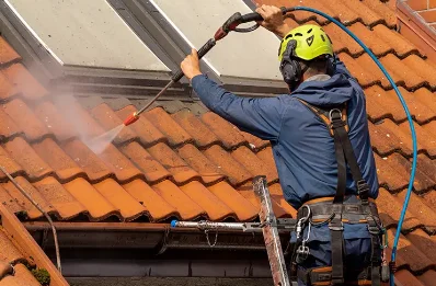 Démoussage et hydrofuge de toiture à Arbus